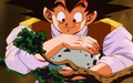 Goku gets one of the eggs back