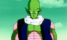 Namek Combattant