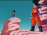 Dbz30-05