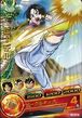 Videl card