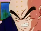 Krillin angry