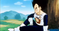 Vegeta uninterested in Guru's final words to the Namekians