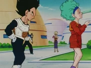 Bulma suggests that Vegeta takes a bath