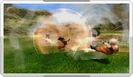 Goku performs the Spirit Shot