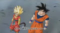 The Hero and Goku