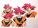 Artwork of Super Saiyan God Goku for Broly