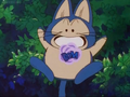 Puar transforming