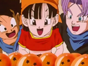Pan in front of the seven Dragon Balls