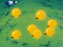 The seven Dragon Balls shining