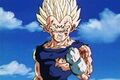 172198-vegeta9 super.jpg