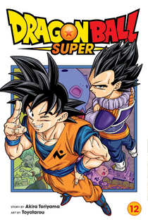 DBS Volume 12 English Cover.png