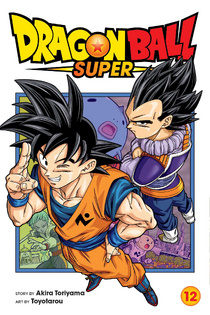 DBS Volume 12 English Cover