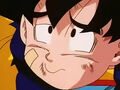 Dbz237 - by (dbzf.ten.lt) 20120329-16415162