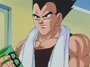 Vegeta após tomar banho