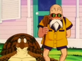 Turtle and Roshi