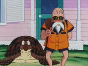 Turtle&Roshi