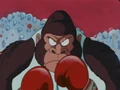 A boxing gorilla