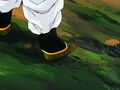 Dbz248(for dbzf.ten.lt) 20120503-18230282