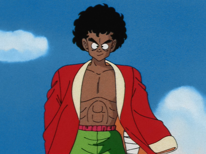 Martial Artist, Dragon Ball Wiki