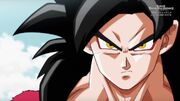 Super Saiyan 4 Xeno Goku.