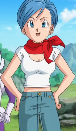 Well thanks dragon ball wiki for all the info on Bulma's bust. :  r/menwritingwomen