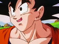 Dbz248(for dbzf.ten.lt) 20120503-18243428