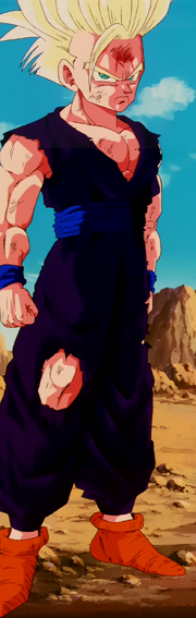 What is the difference between a pure-blood Saiyan and a hybrid