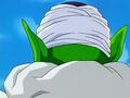 Dbz248(for dbzf.ten.lt) 20120503-18161527