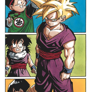 To Each His Own Answer, Dragon Ball Wiki
