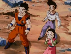 Until We Meet Again, Dragon Ball Wiki