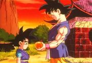 Goku e Goku Jr.