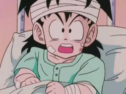孫悟飯 Dragon Ball Wiki Fandom