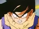 Gohan angry