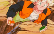 Goku encontrando la esfera de seis estrellas