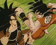 Goku vs radish