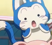 Mini Puar