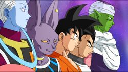 Team Universe 7, Dragon Ball Wiki