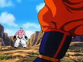 Dbz248(for dbzf.ten.lt) 20120503-18300924