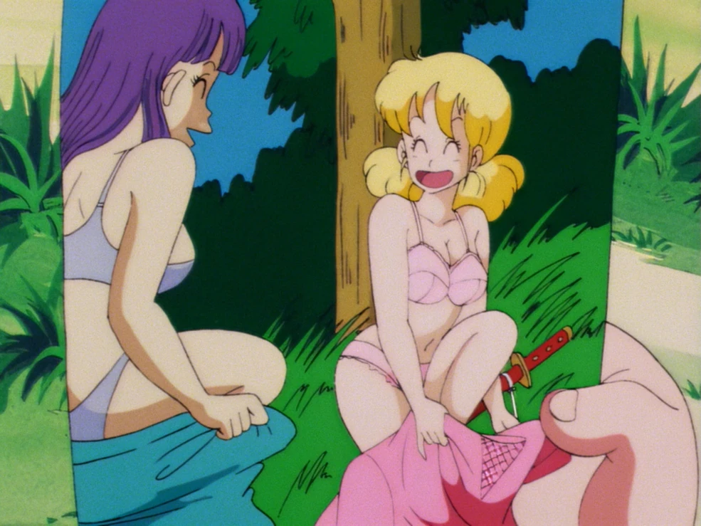Panties | Dragon Ball Wiki | Fandom Panties | Dragon Ball Wiki | Fandom