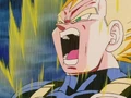 Vegeta roars in fury