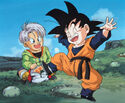 DBZ9 Large