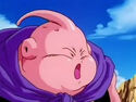 Innocent Buu shocked by Majin Vegeta's confidence