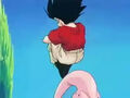 Dbz245(for dbzf.ten.lt) 20120418-17290657