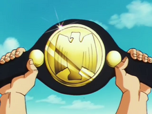 Ceinture du Tenkai Ichi Budokai.png