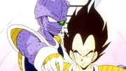 Kiwi Vegeta