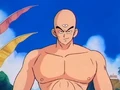 YBB2.jpg (52 KB) Tien unaffected by Yamcha's attack