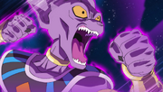 Beerus Angry