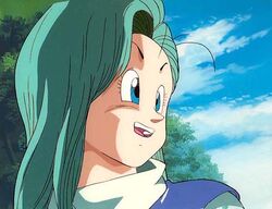 Bulma015