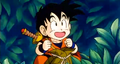 Gohan with medicine