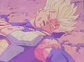 Trunks hurt3